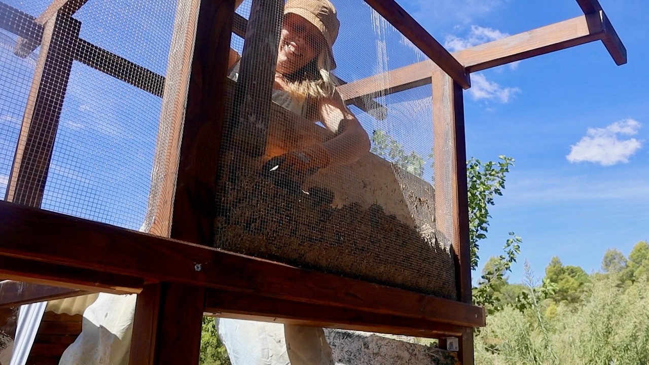 An Experimental Design... And A Setback ~ BUILDING A HOMESTEAD