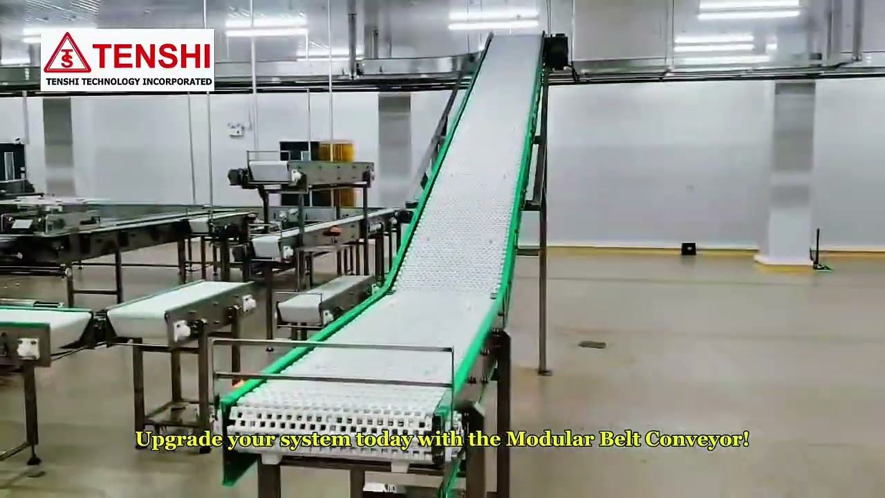 Modular Belt Conveyor