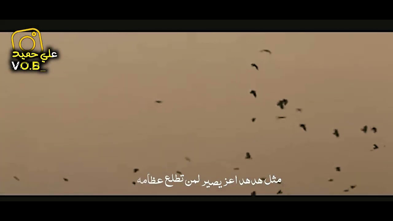 شمسوين بـأحلامه .. للشاعر باقر المسعودي . بصوت النقي محمد الأميري . 💔😞
