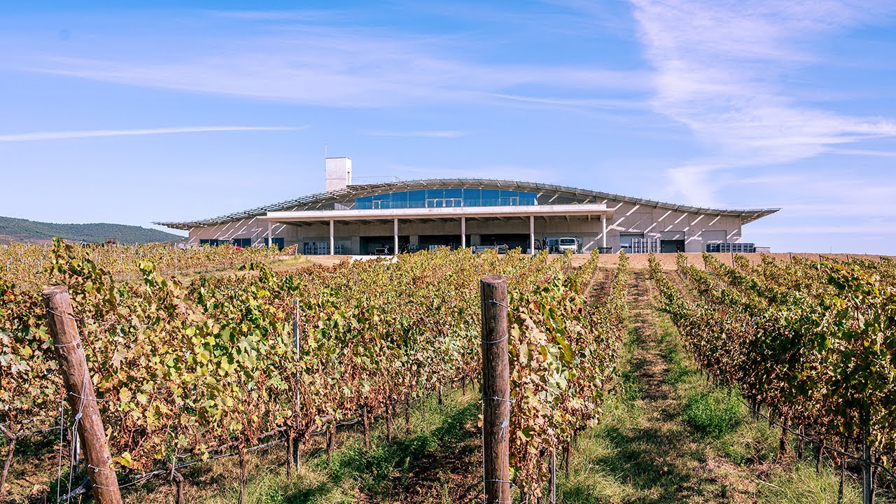 Introducing Adega do Ataíde - Charles Symington on winemaking