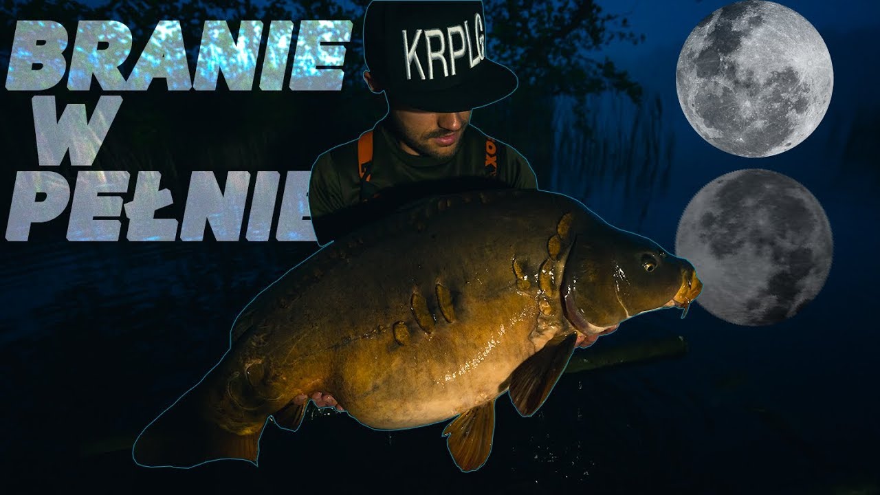 NAJWIĘKSZY KARP JEZIORA DRUGI RAZ! MobyDick z PZW