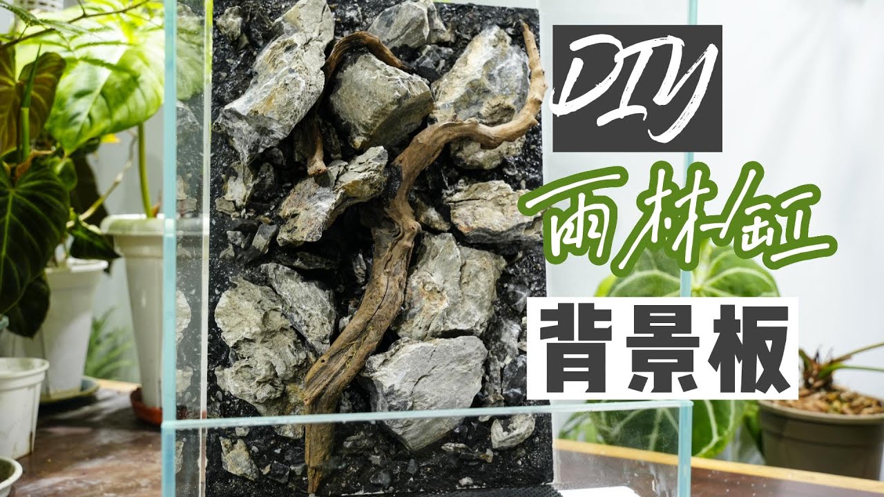 雨林缸背景板制作教程 How to make vivarium background board