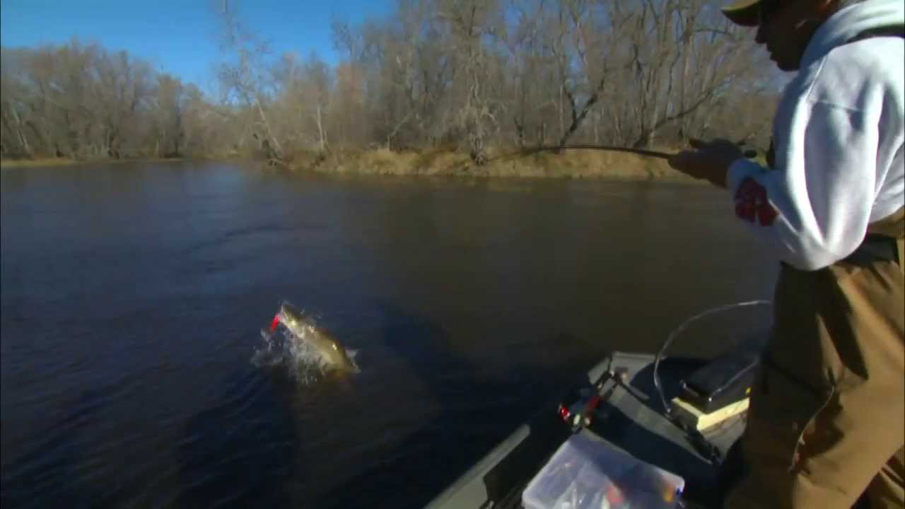 How Water Clarity Affects River Muskies (Part 1)