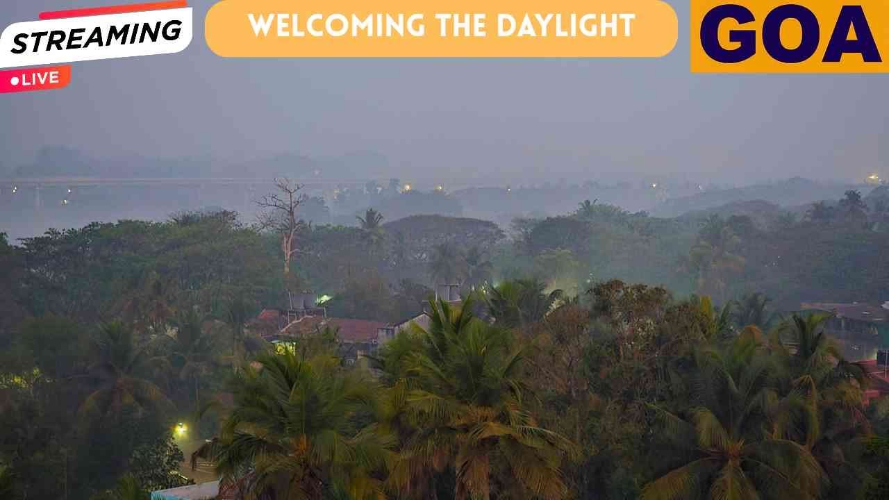 ​🔴 LIVE From Margao, Goa | Morning Bird Song And Nature View