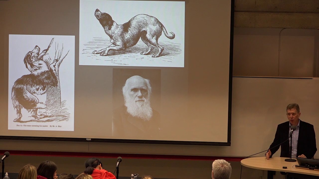 June 26 - 9:00 AM - Gregory Berns: Decoding the Dog's Mind with Awake Neuroimaging