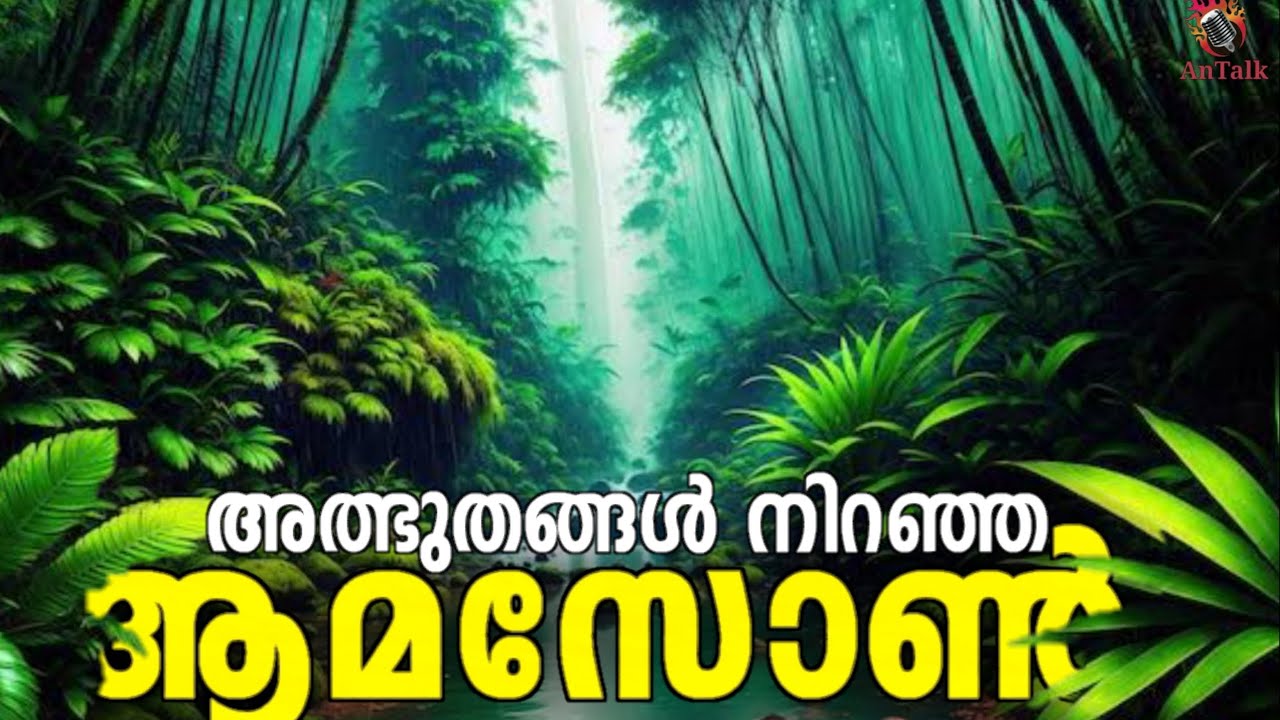 Amazon Rainforest | അത്ഭുതങ്ങൾ നിറഞ്ഞ ആമസോൺ മഴക്കാട് | Malayalam | AnTalk #amazon #malayalam #antalk