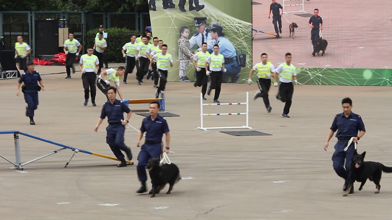 香港警隊175週年大匯演暨警民同樂日 2019~警犬隊  13-1-2019下午