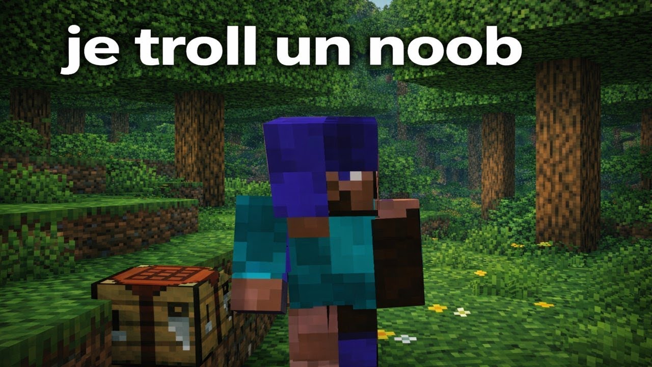 je prank un noob sur minecraft