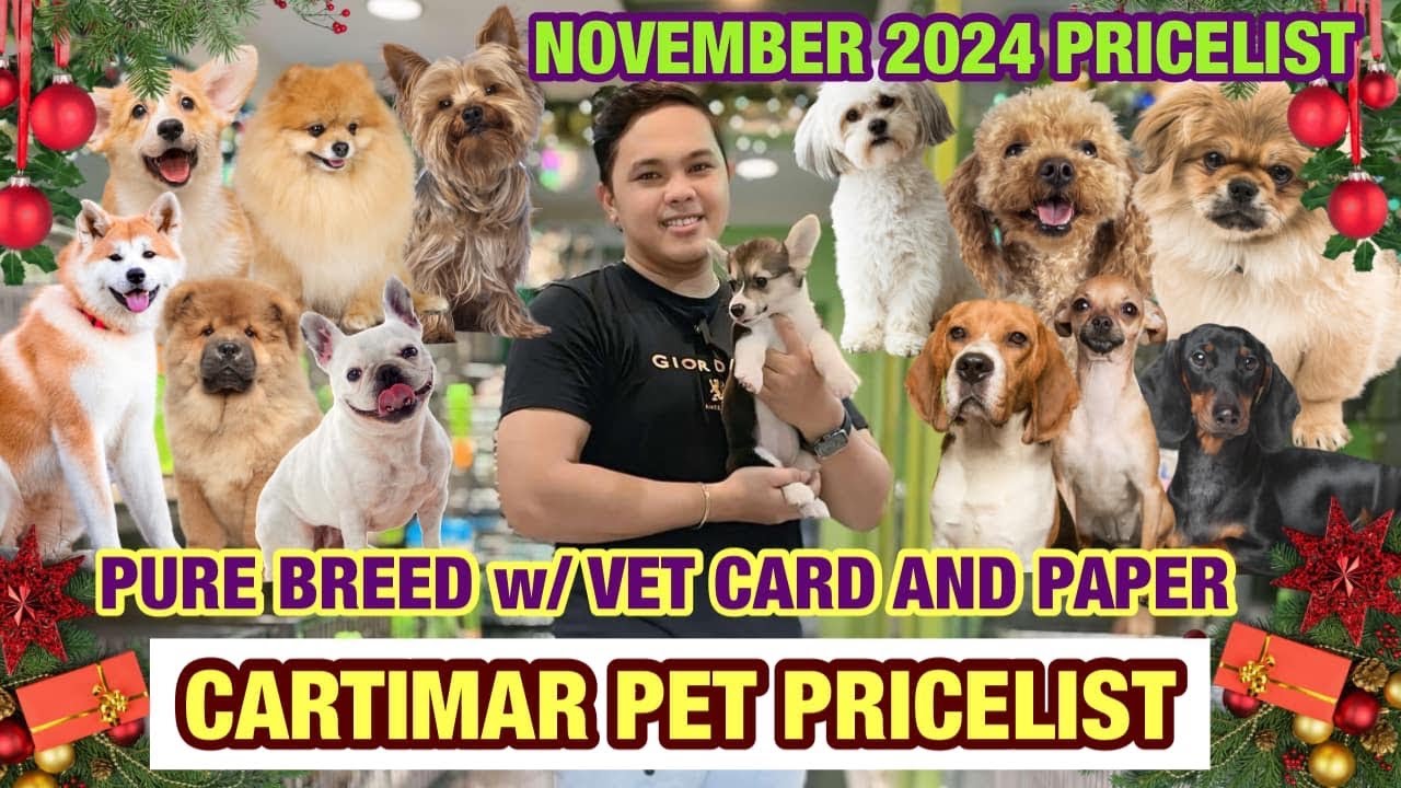 NOVEMBER  2024 UPDATED CARTIMAR PET PRICELIST + GIVEAWAY! CUTE & PURE BREED PUPPIES *MUST WATCH*