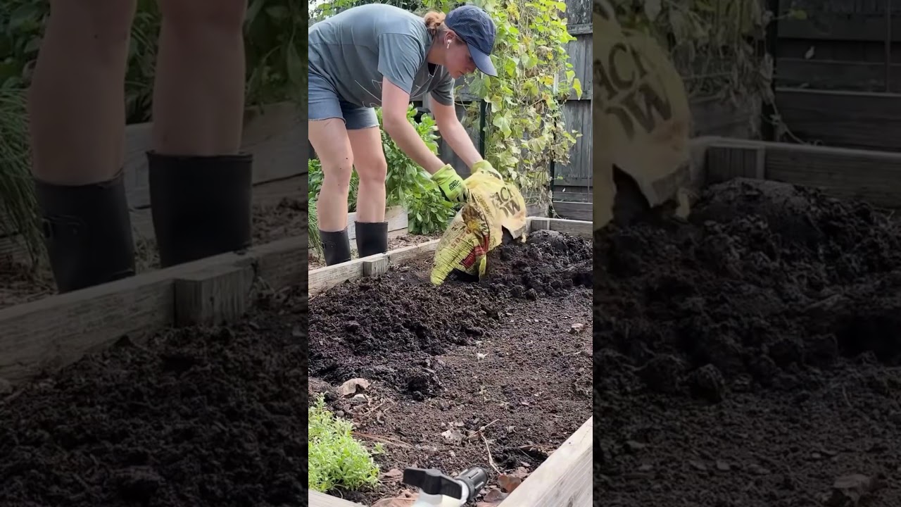 Моя простая процедура подготовки почвы осенью #садоводство #саднавысокихгрядках #осеннеесадоводст...