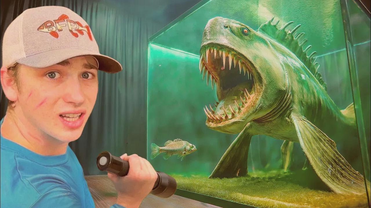 ¡Compré un pez de acuario que come carne humana!