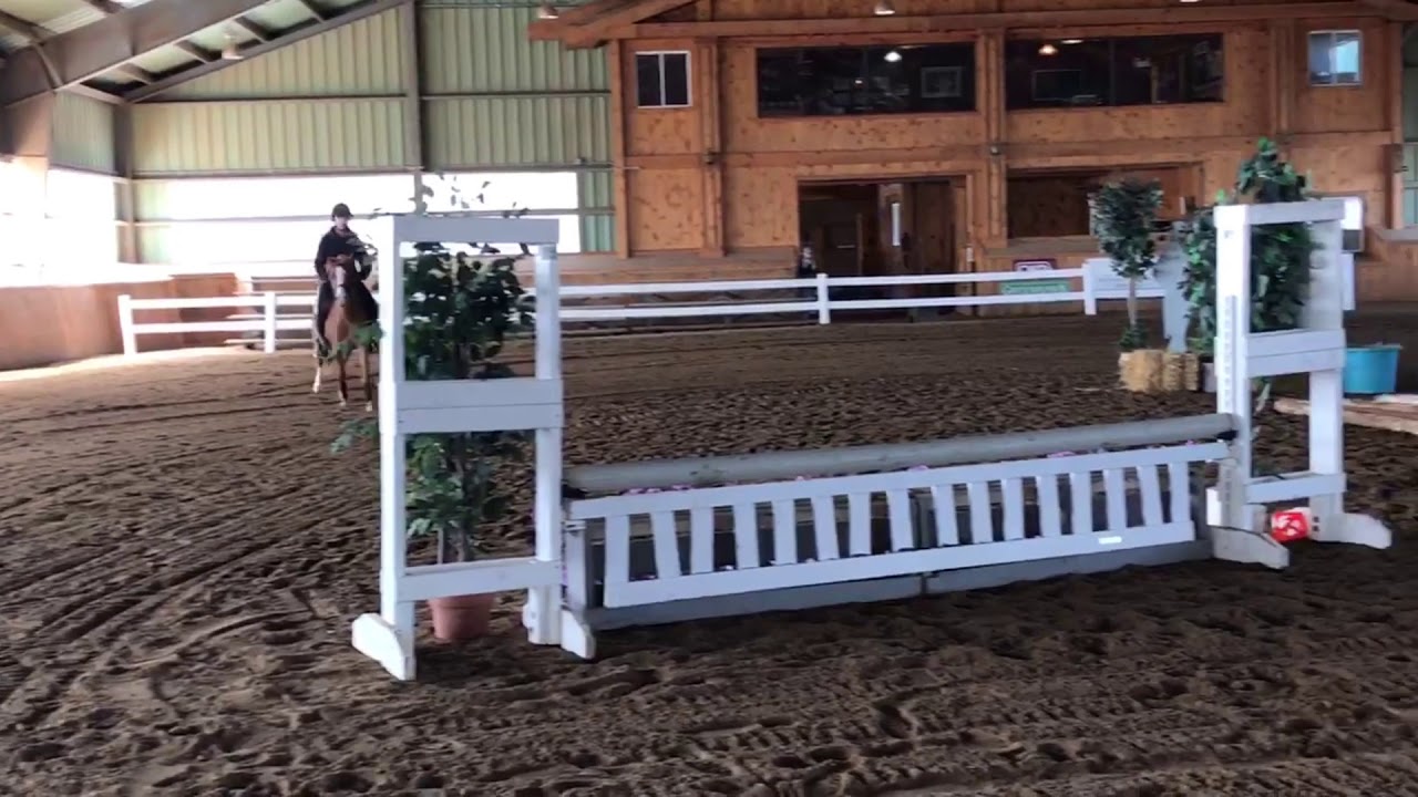Sold - Canterbrook Royal Rummy