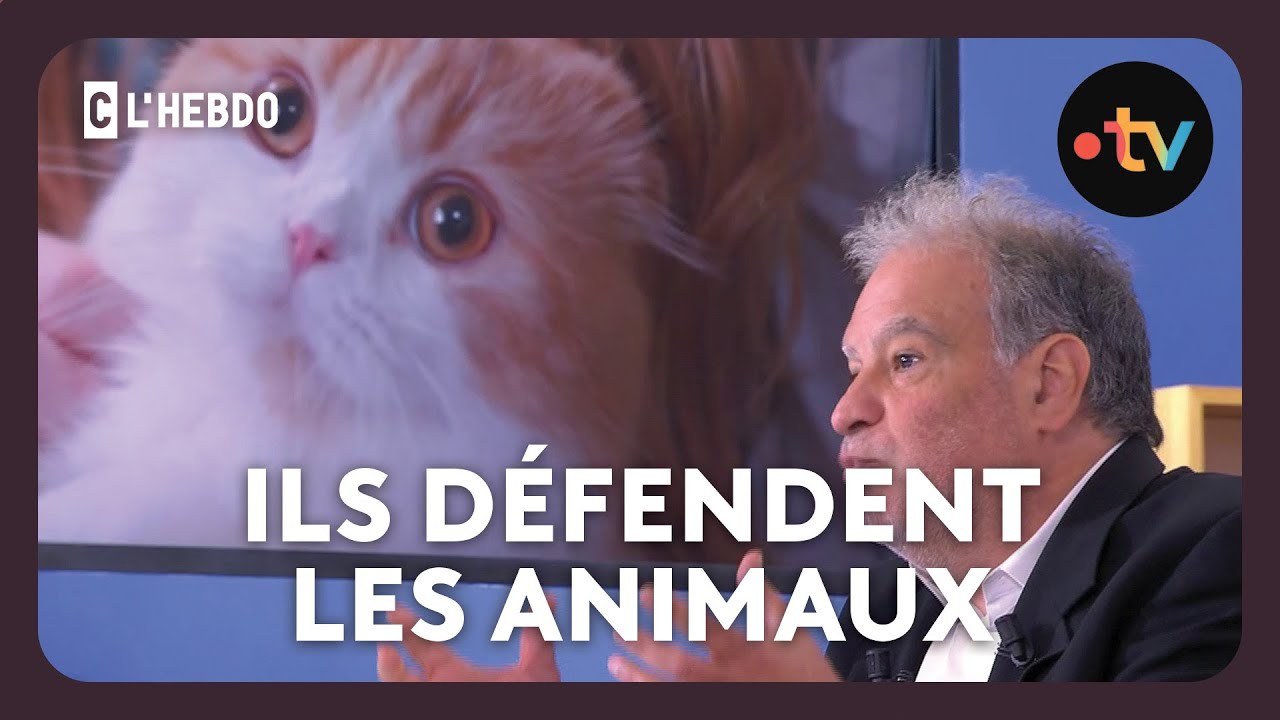 Spéciale animaux : 