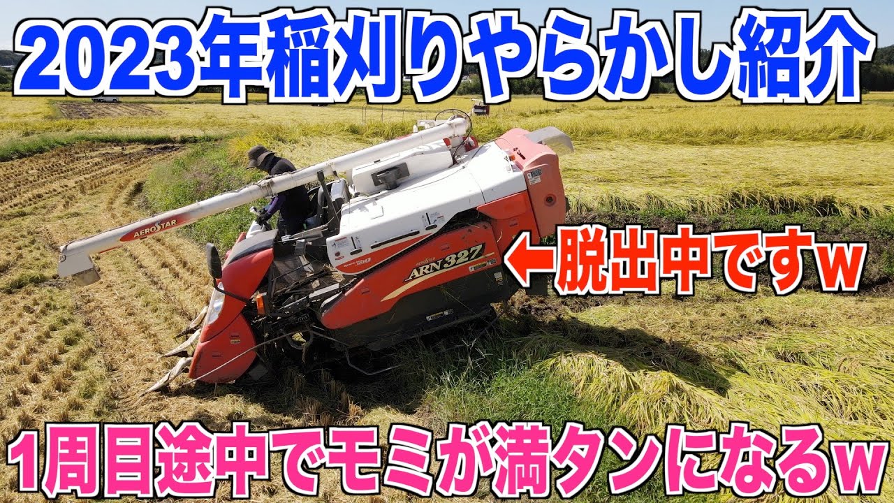 【稲刈りやらかし】排出忘れて1周目でタンク満タンでテンパりましたｗ  30代米作り奮闘記#287