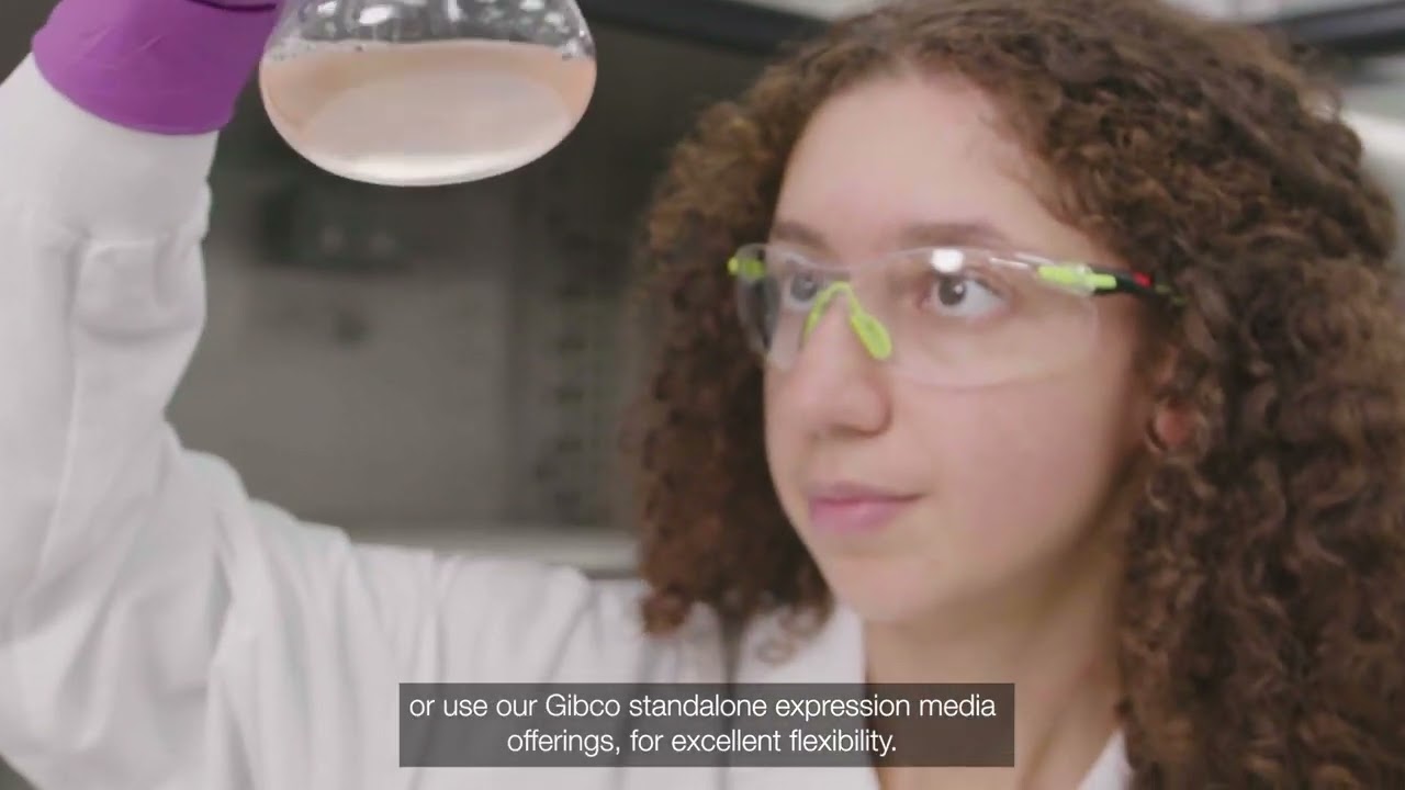 Развитие с помощью рабочего процесса экспрессии белков Gibco