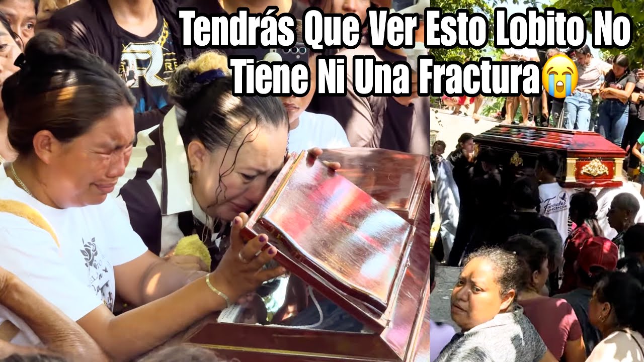 URGENTE 🚨 Habrieron La Caja De Lobito China De Alo Chapin😭