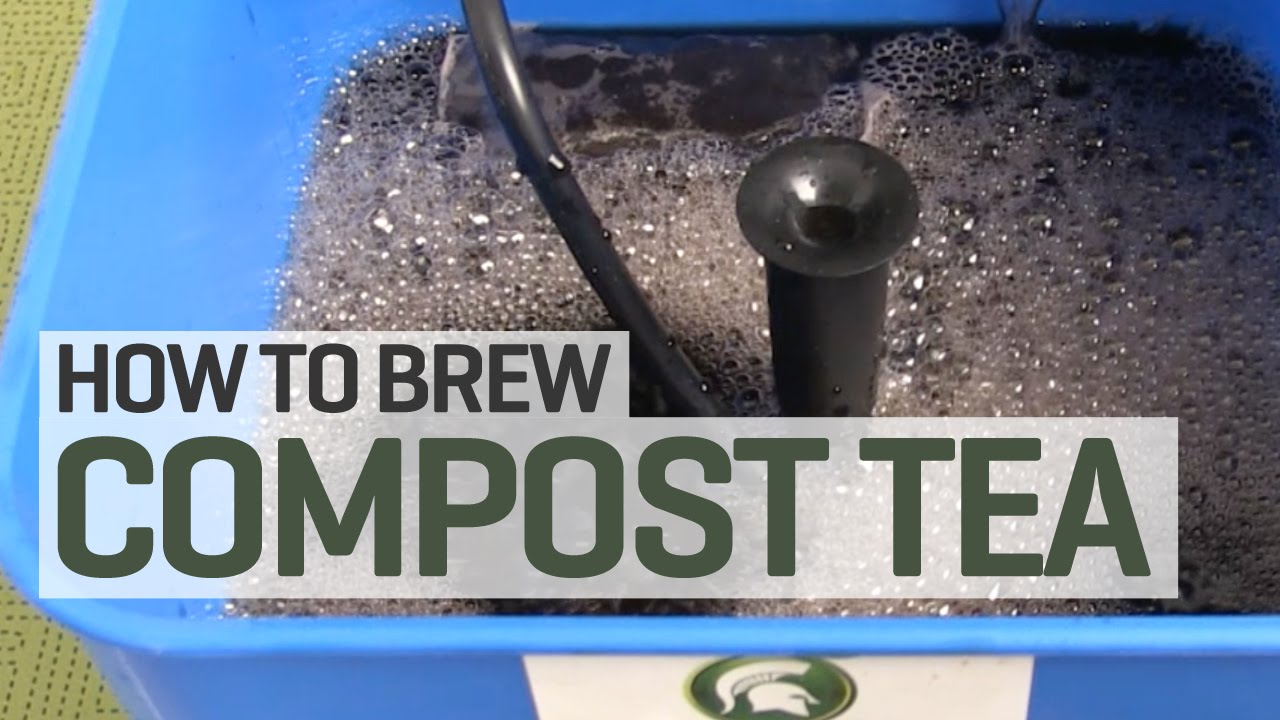 How To Brew Compost Tea