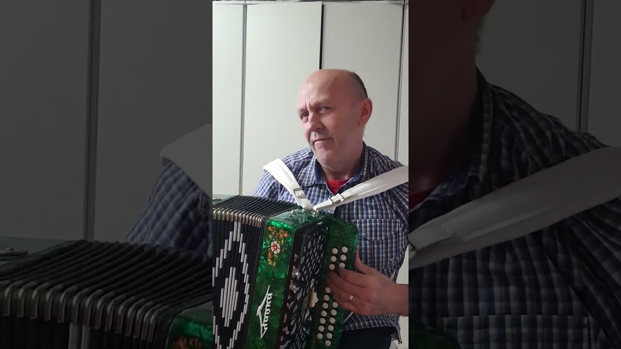 Чайка зелёная с регистром