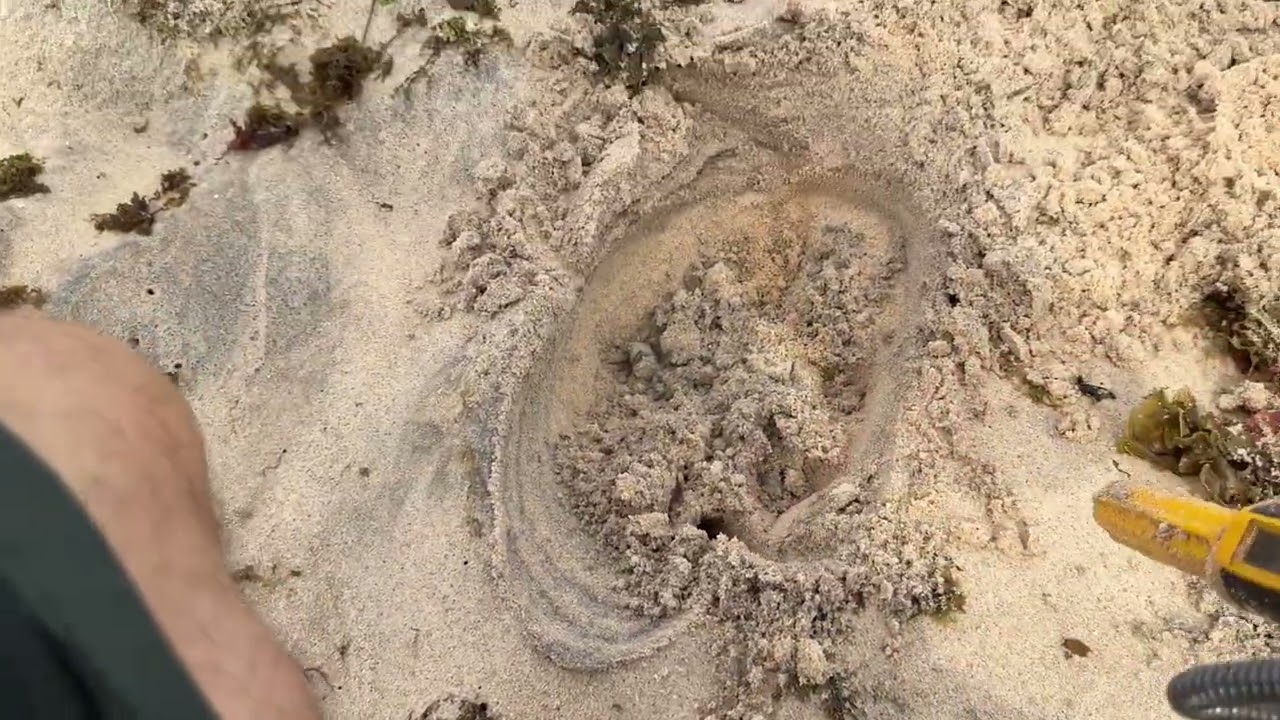 8 de fevereiro de 2026