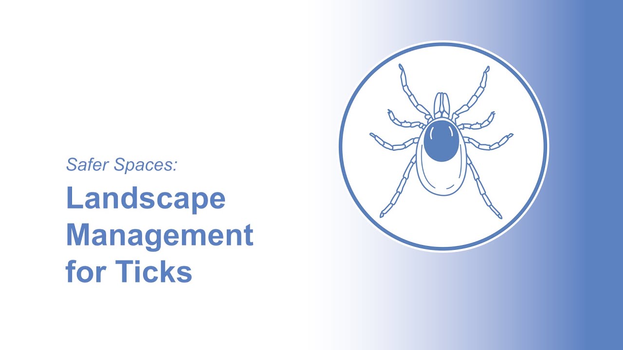 Safer Spaces: Landscape Management for Ticks