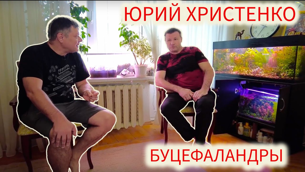 Юрий Христенко и его буцефаландры
