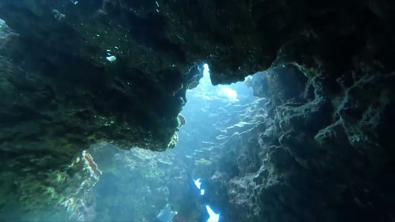 2025 12 10 diving Lanai Cathedral HI