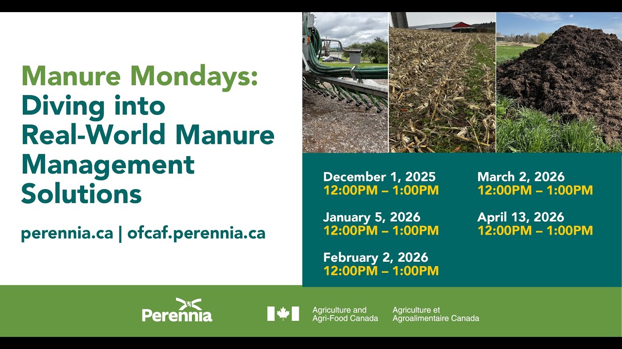 «Навозные понедельники» №1 — Внесение навоза в сложных условиях окружающей среды с участием Хрисе...