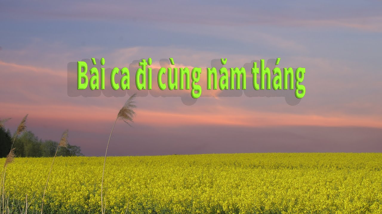 Bài ca đi cùng năm tháng (70 - 80)