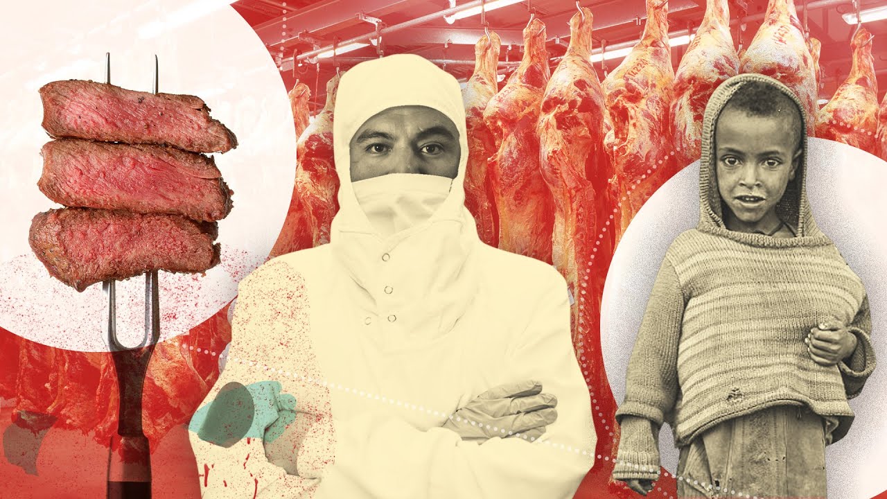 Meat As A Human Rights Issue - The Truth