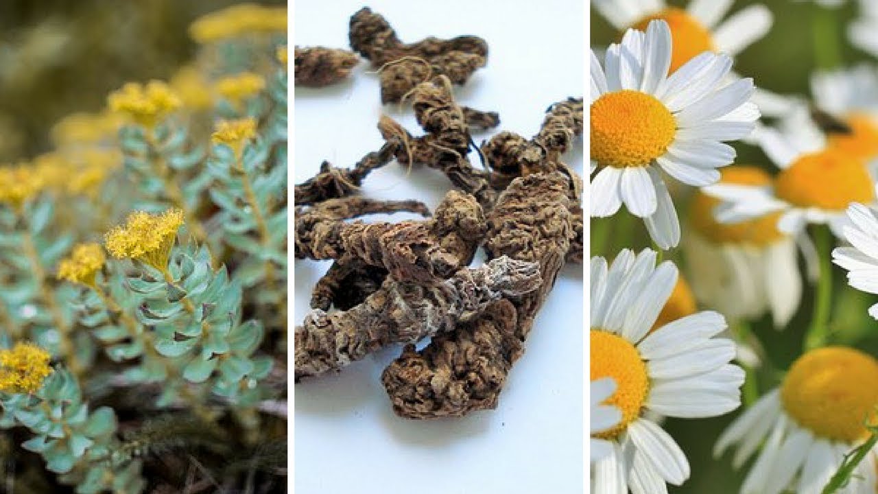 Natural Remedies for Depression [Top Five Herbs for Depression]