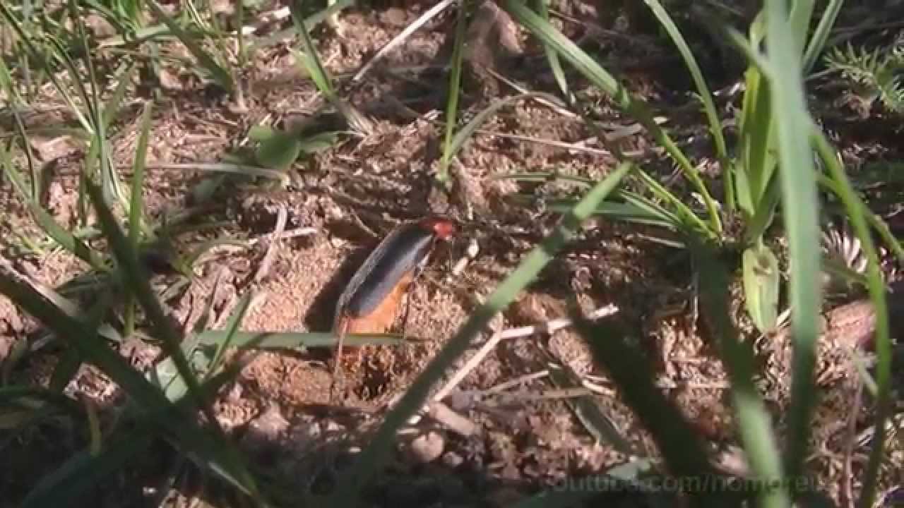 Unexpected attack