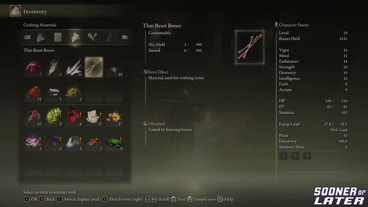Elden Ring First Playthrough- Sooner or Later Saturdays w/ Eric #4