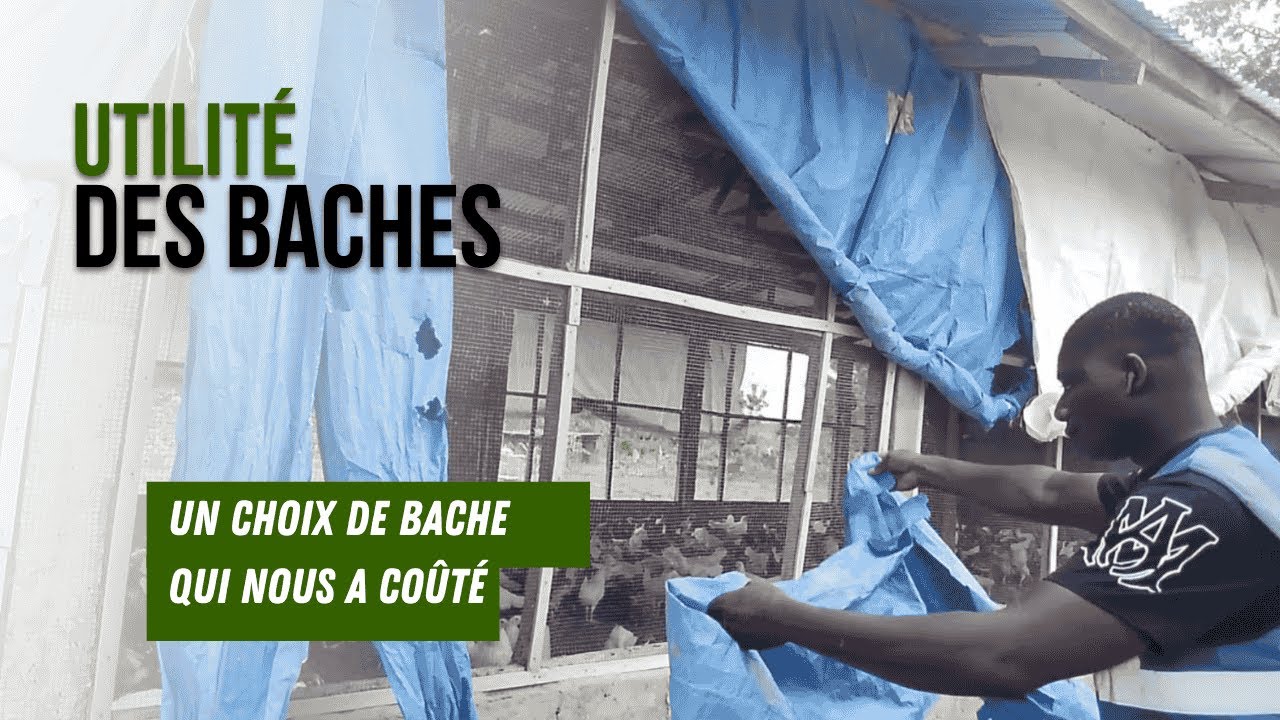 Bâche de protection : ce détail qui a mis nos poules en danger