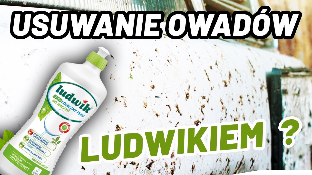 CZY to DZIAŁA ? LUDWIK na Owady. HIT czy KIT ?