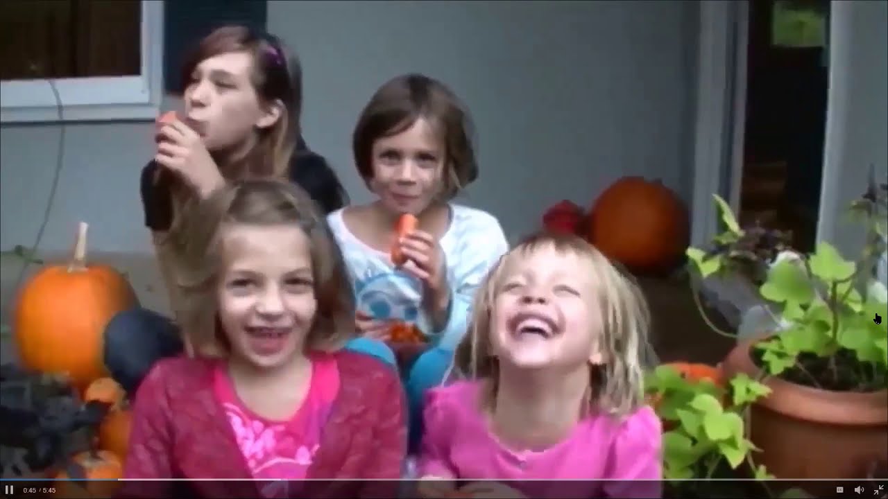 Carrots, Farm to Fork