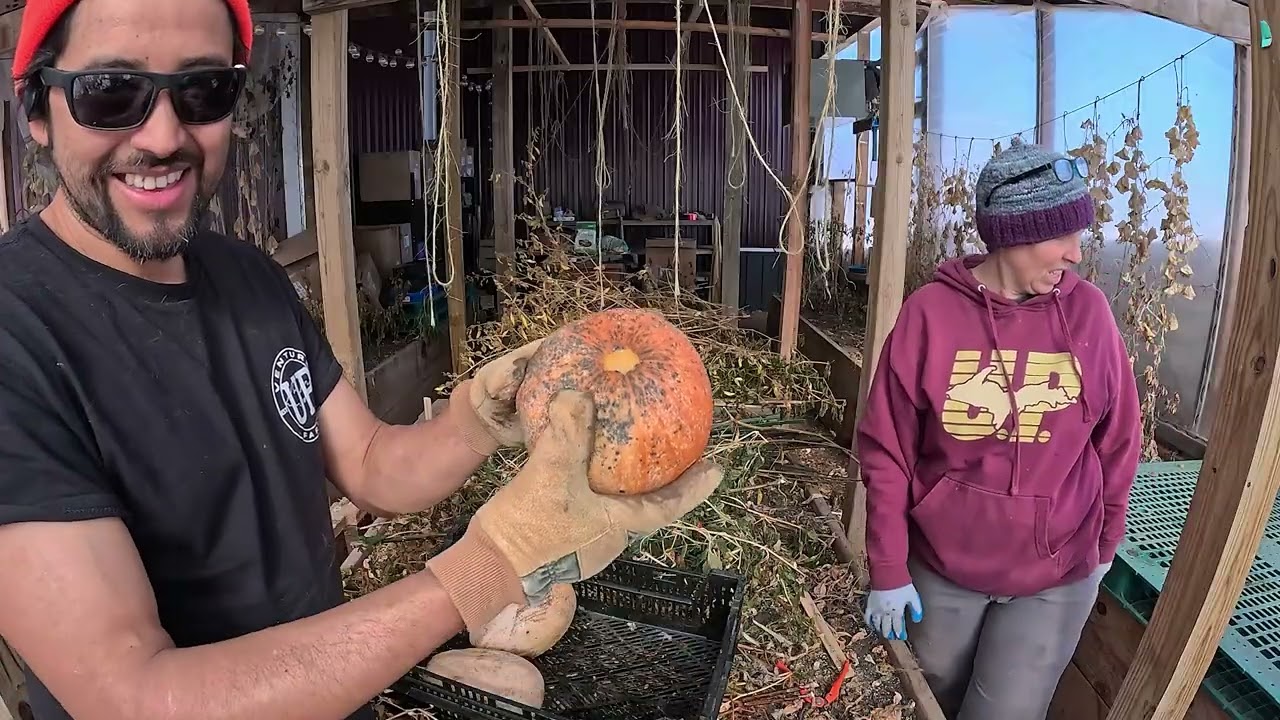 Are We Lazy Farmers? We are buried in snow, temps are warming, and bees!