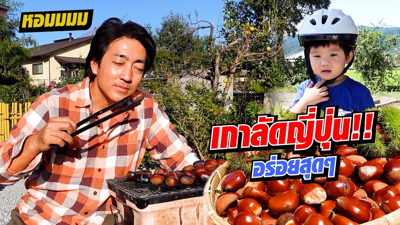 เกาลัดระเบิด!!! ฮิโระพาเก็บเกาลัดมาย่างกินอร่อยสุดๆ!! | SugoiJapan | Ep324