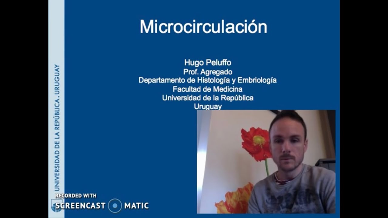Histología NCR - T15a - Microcirculación (1)