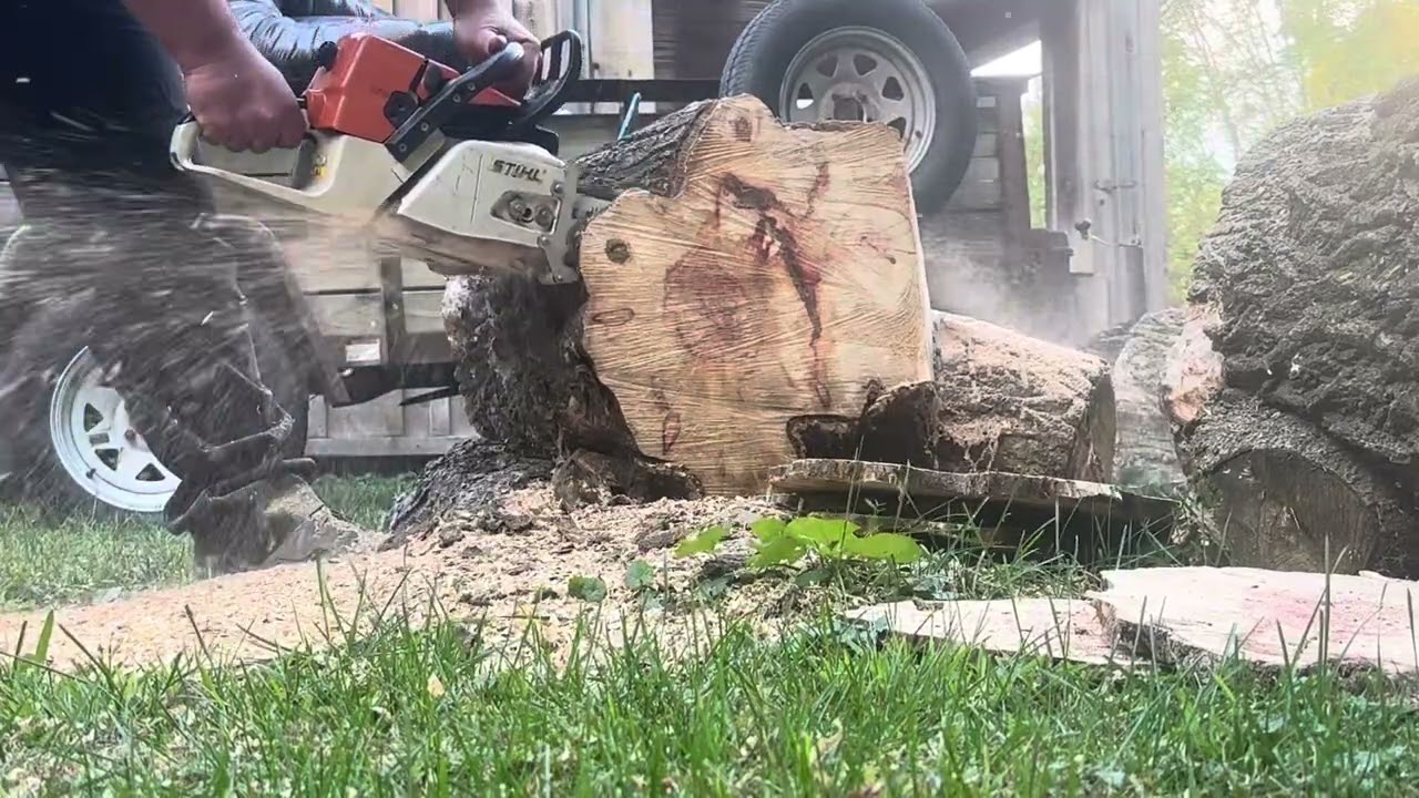 Sloan’s woods ported MS361