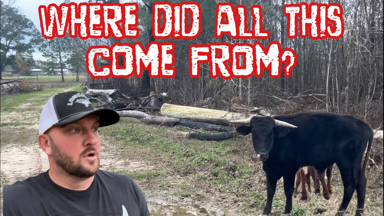 Who Trashed My Pasture?
