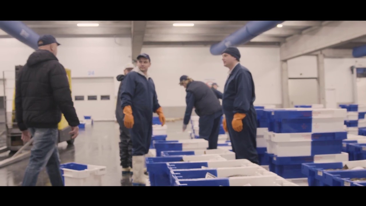 All fish boxes in Belgian fish auctions equipped with RFID tag