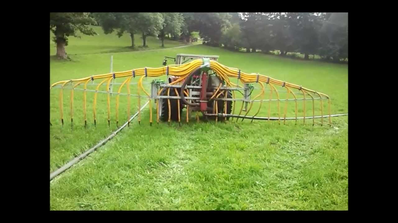 &eacute;pandage de lisi&eacute; au pendillard