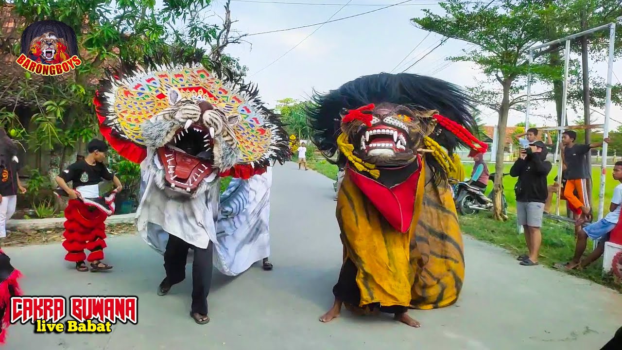 Arak Arakan Barongan Galak, Barongan Ngamuk Dijalan | Barongan Cakra Buwana Live Babat | Barongboys