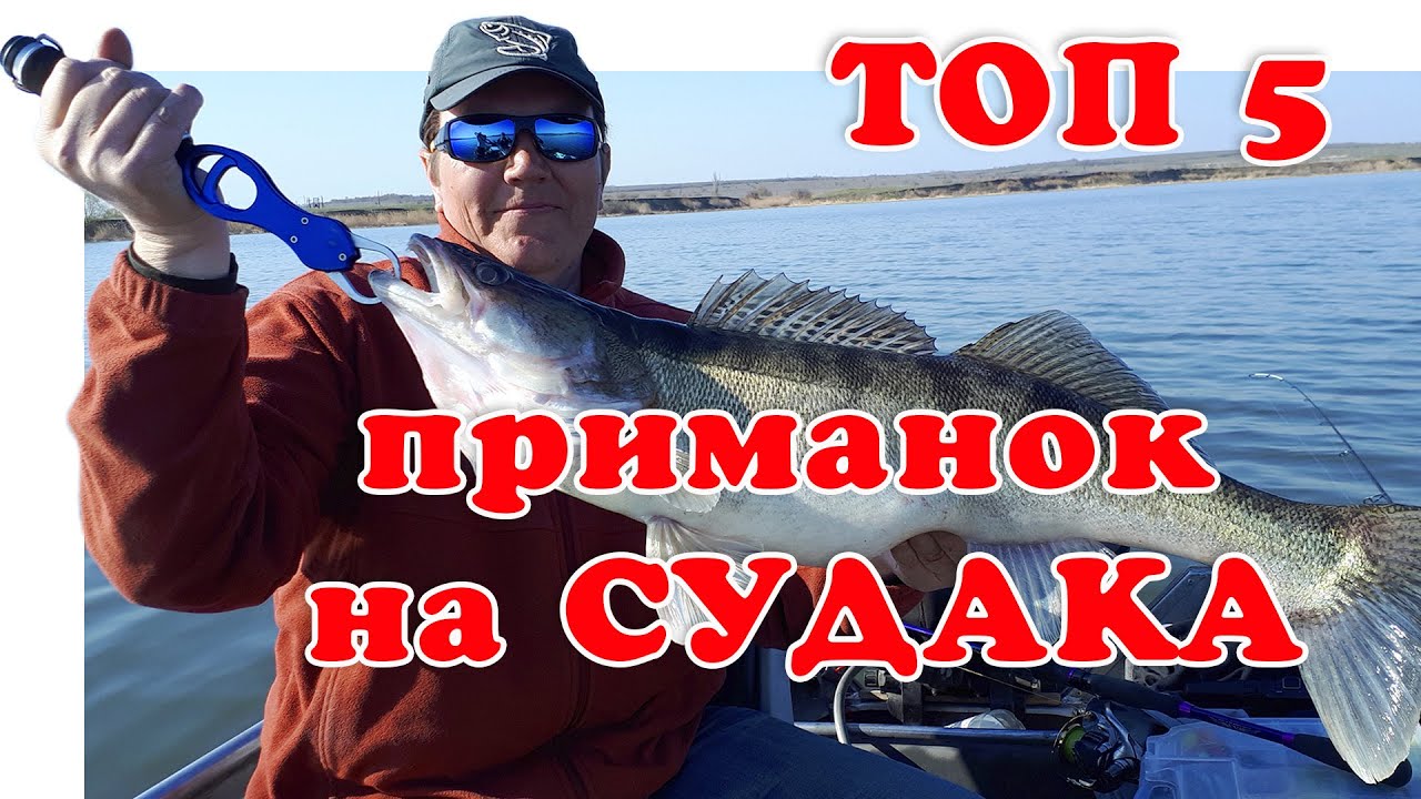 Лучшие Силиконовые Приманки ▶ Fishing 2023 ▶ Топ 5 | Fishing 2022