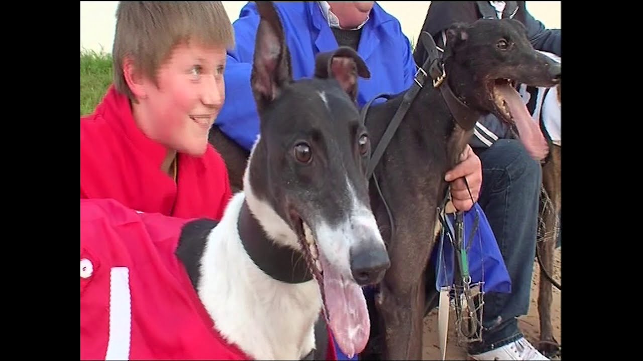 Greyhound View S02 Ep 128