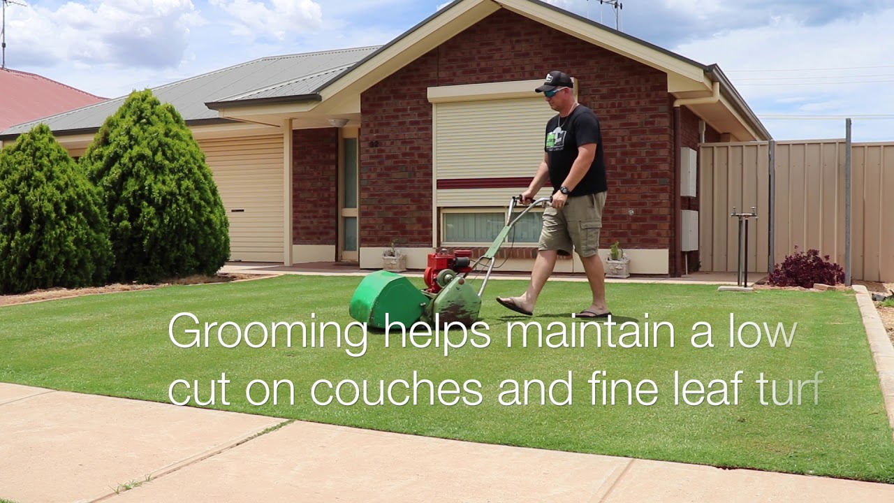 What is Grooming?