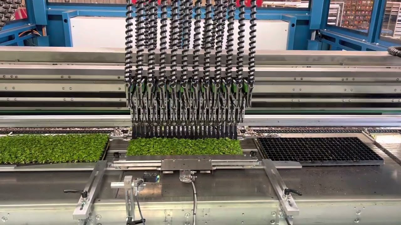 TTA FlexPlanter