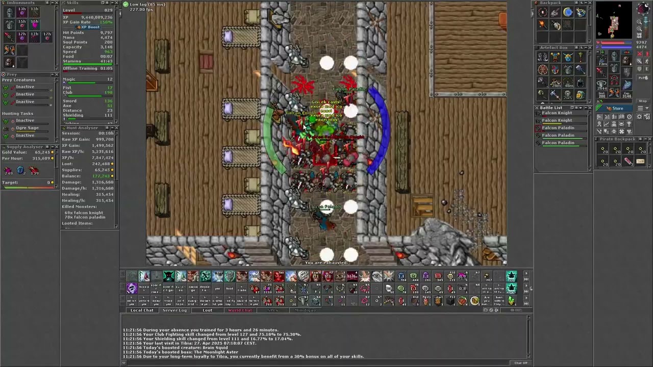 Beczo Hunts #12 800+ EK SOLO Falcon Bastion (Castle) - ~6.1kk RAW + 1,5kk PROFIT
