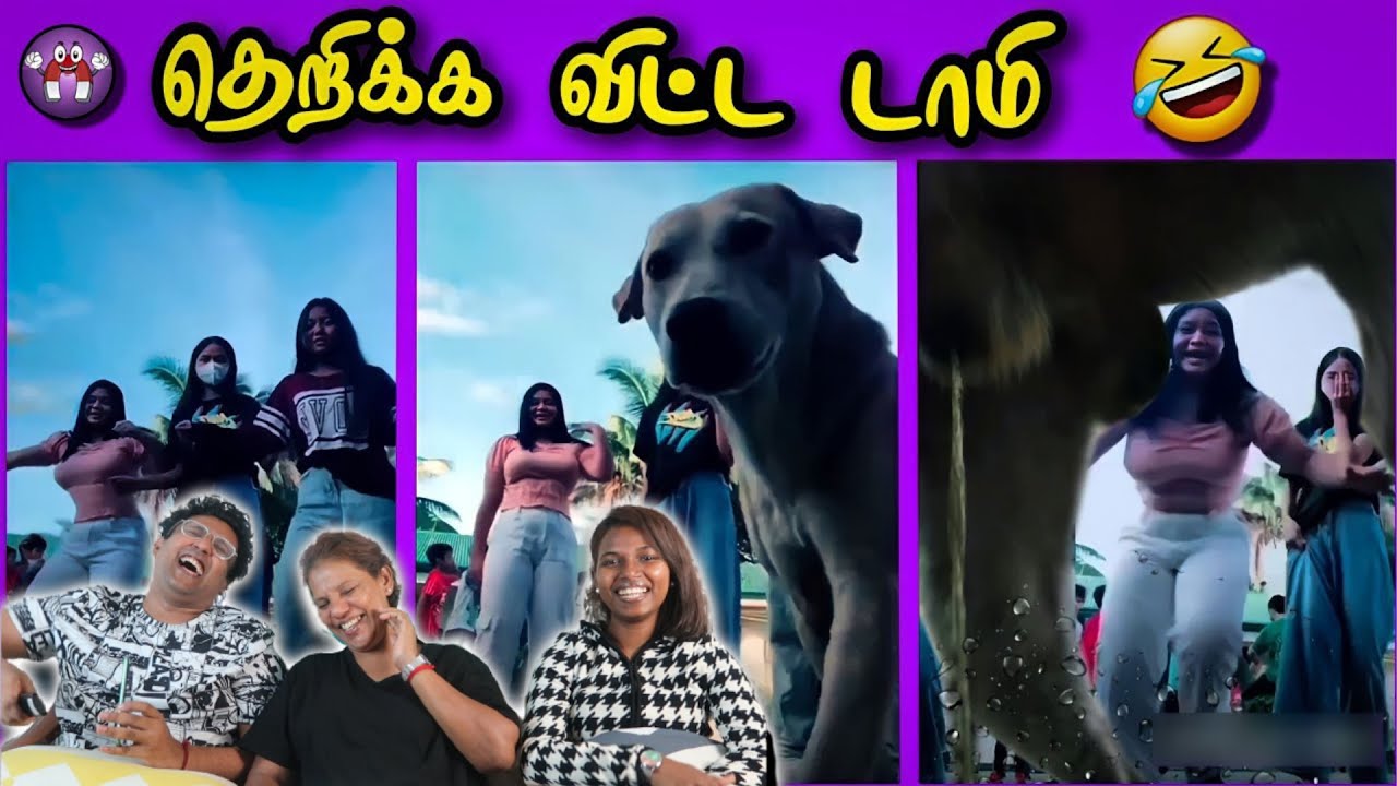 முரட்டு காமெடி சம்பவங்கள் 😂 | Ramstk Family@themagnetfamily2.0