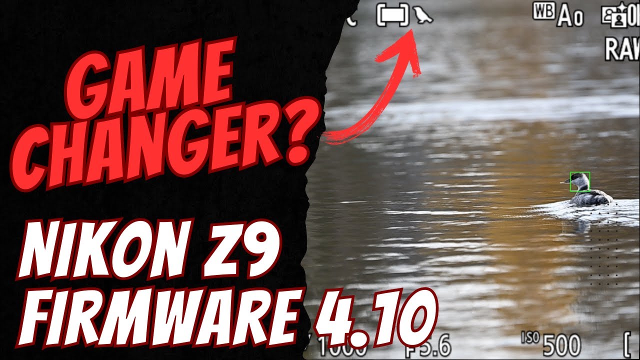 Nikon Z9 4.10 Firmware Testing - Game Changer for Bird Photography?